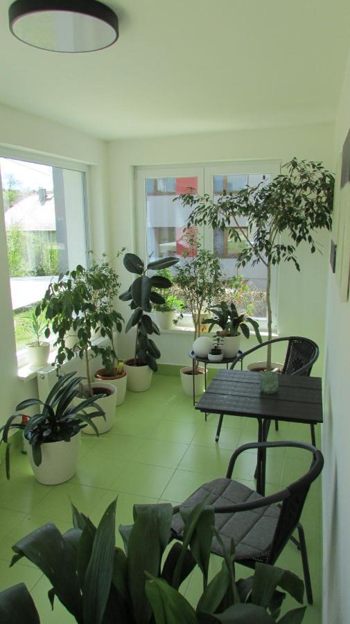 apartmány LUHA Luhačovice Esterno foto